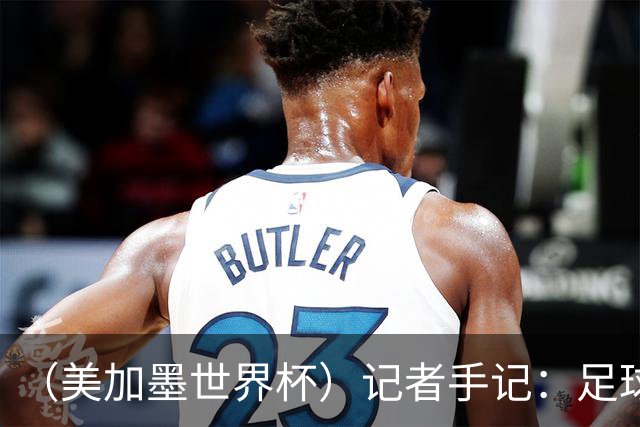 （美加墨世界杯）记者手记：足球世界，规则谁定？